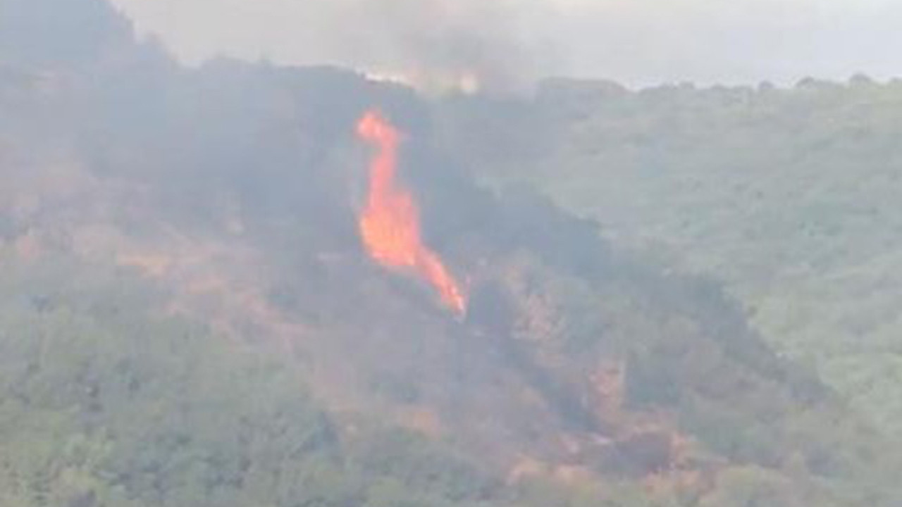 İstanbul'da orman yangını! Bu görüntüler olay oldu