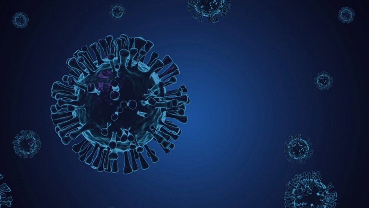 Japonya Prensesi'nin koronavirüs testi pozitif