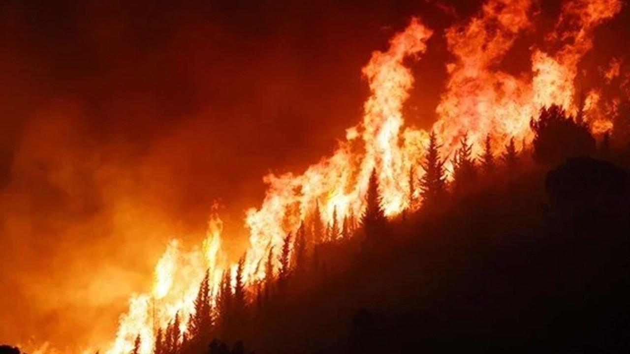 İtalya’da orman yangını 2 can aldı