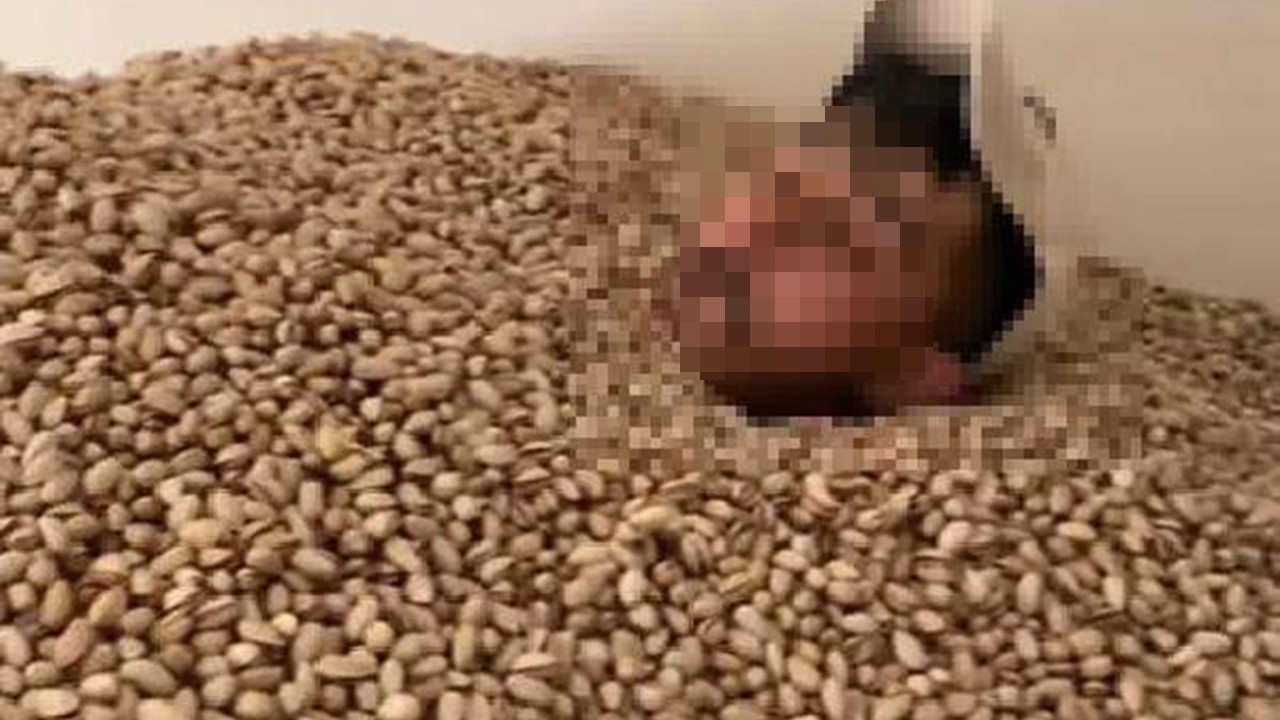 Fıstık deposunda mide bulandıran skandal: Afiyet olsun Türkiyem!