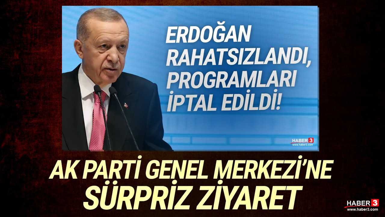 Erdoğan rahatsızlandı, tüm programı iptal edildi