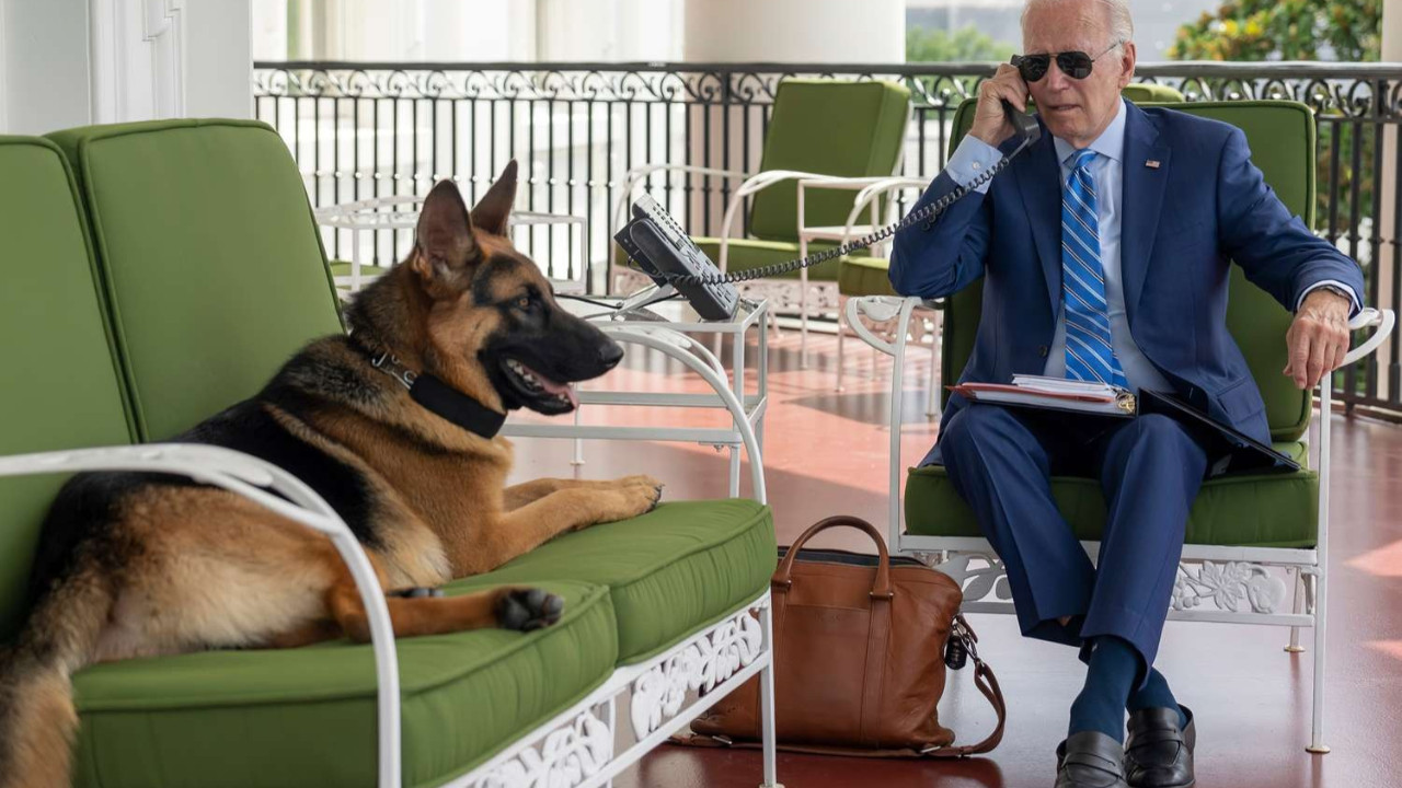 Biden'ın köpeği Beyaz Saray'dan kovuldu