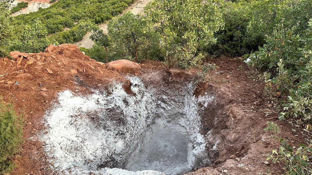 Sokak hayvanları bakımevinde skandal iddia