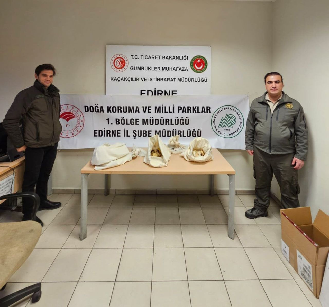 Tüyleri diken diken eden olay: Bir otomobilde çok sayıda piton bulundu