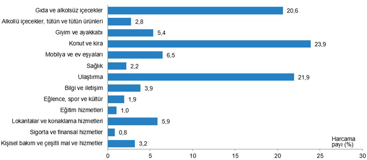 Türkiye'deki barınma krizi Türkiye İstatistik Kurumu istatistiklerine bir kez daha yansıdı. Türkiye'de hane halkı bütçesinden 2023'te en fazla pay konut ve kira harcamalarına ayrılırken hane halklarının harcamalarında en yüksek payı konut ve kira harcamaları aldı. 