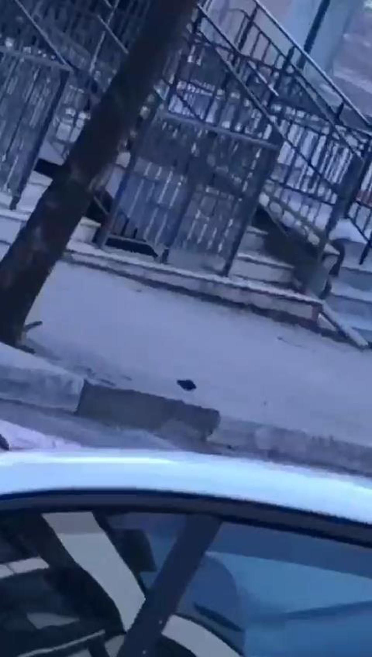 İstanbul'da el bombası paniği