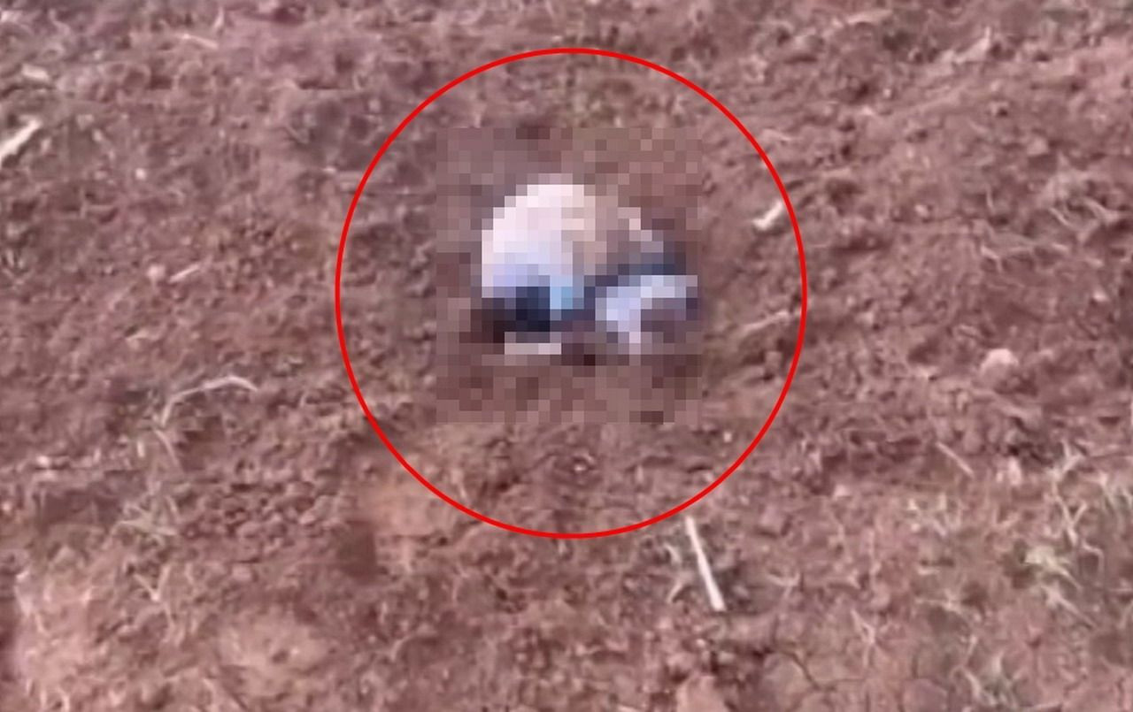Boğup, poşetle araziye atmış... Yenidoğan kız bebeğin katili ''tanıdık'' çıktı