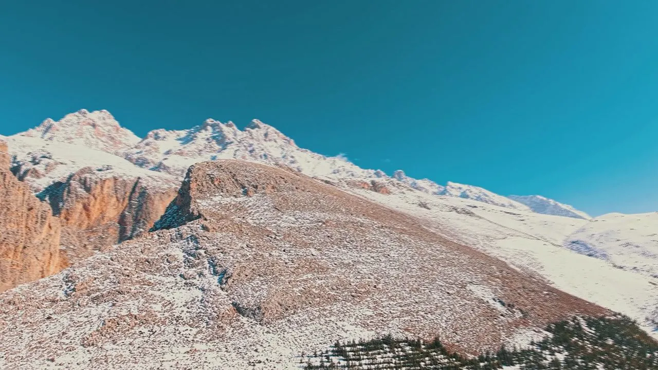 Türkiye'nin en gizemli canlılarının zirvedeki yolculuğu kamerada