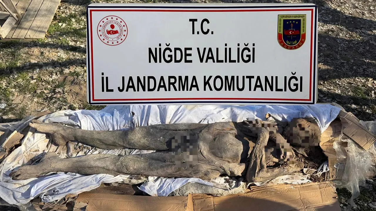 Niğde'de insan mumyası satıcıları suçüstü yakalandı