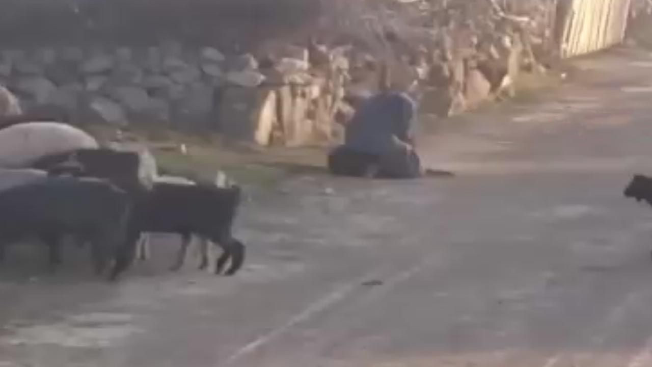 Sosyal medyayı ayağa kaldıran görüntü; gözaltına alındı...