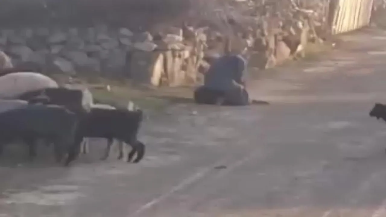 Sosyal medyayı ayağa kaldıran görüntü; gözaltına alındı...