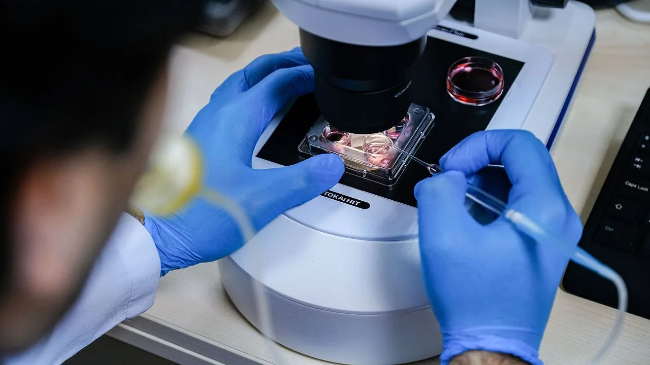 Türkiye'de cinsiyeti önceden belirlenen embriyo üretimi başlıyor