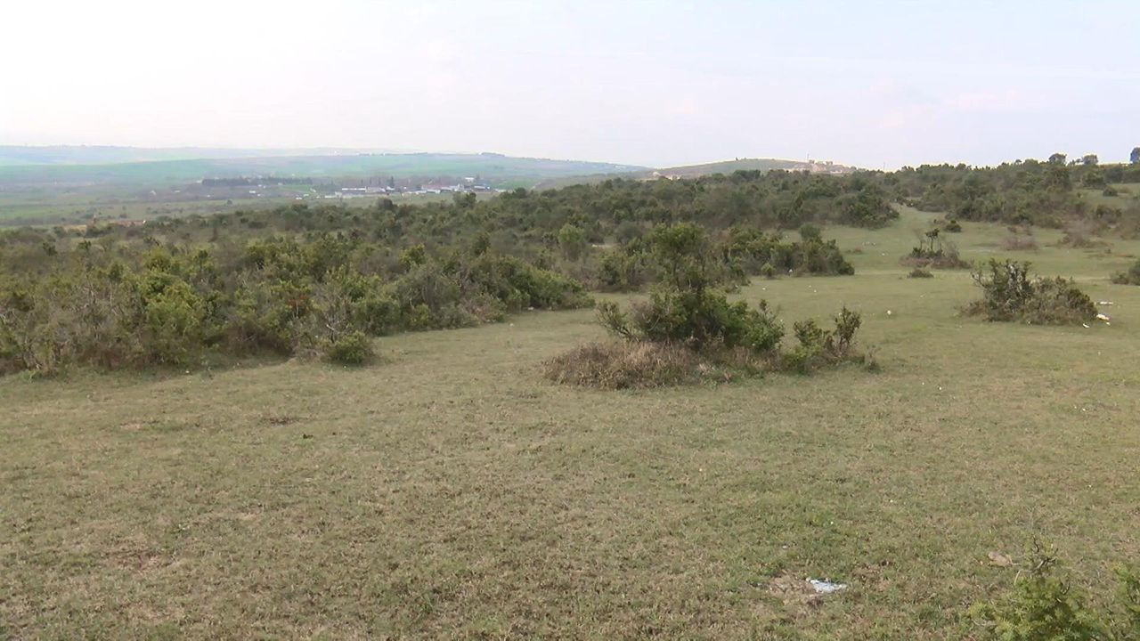 İstanbul'da boş arazide insan kafatası bulundu