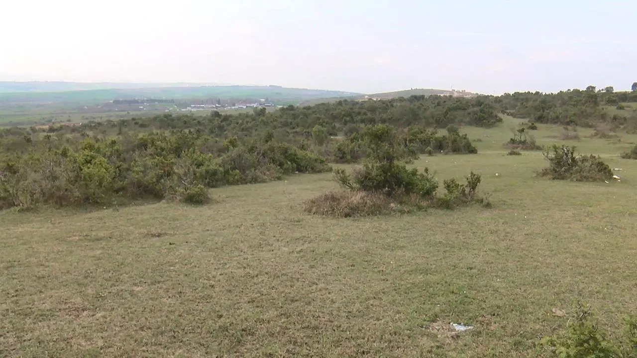 İstanbul'da boş arazide insan kafatası bulundu