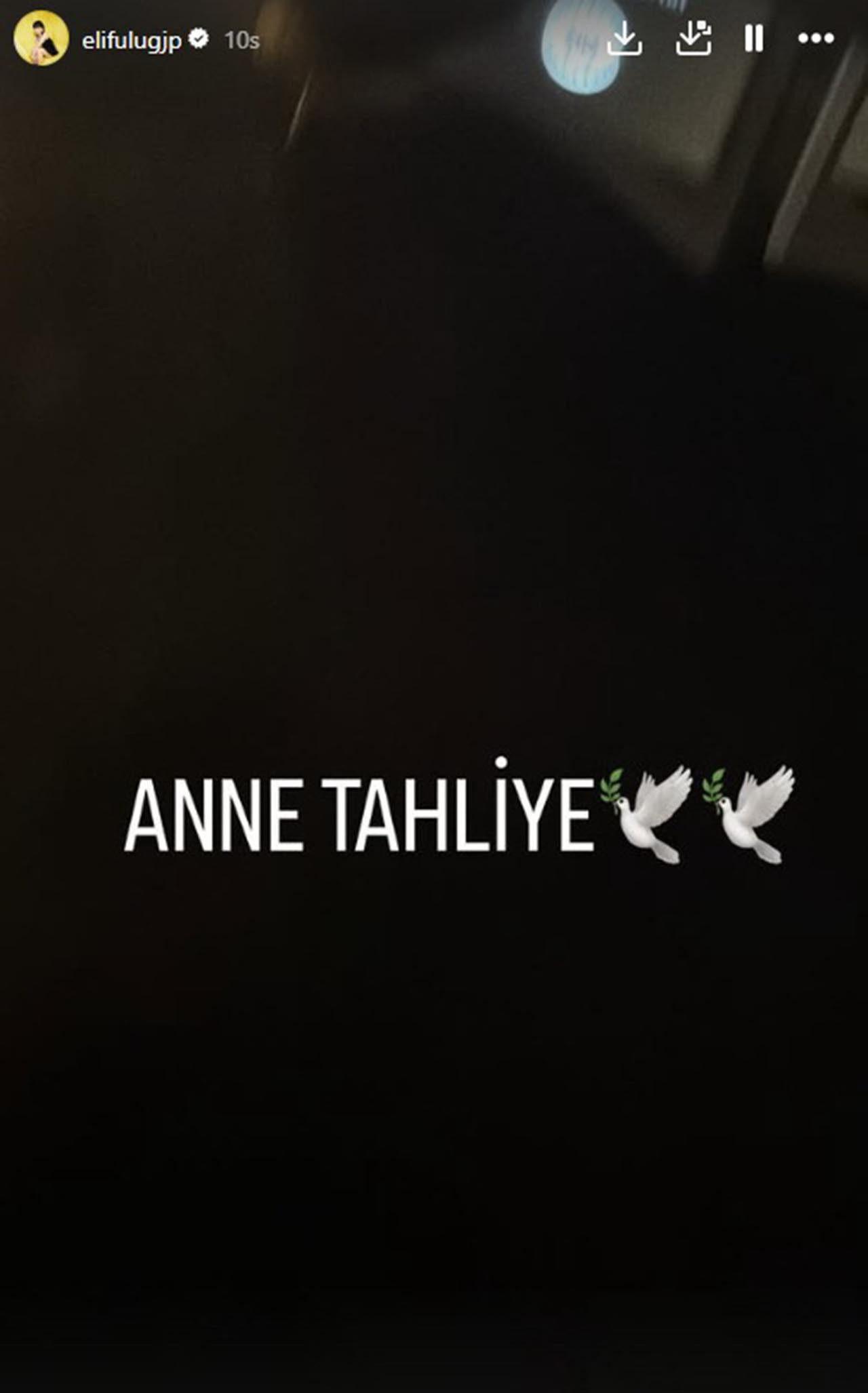Sosyal medya hesabından yayınladığı video ile de gündem olan ve Şişli'deki eylemlerde gözaltına alınan sosyal medya fenomeni Elif Uluğ serbest bırakıldı.