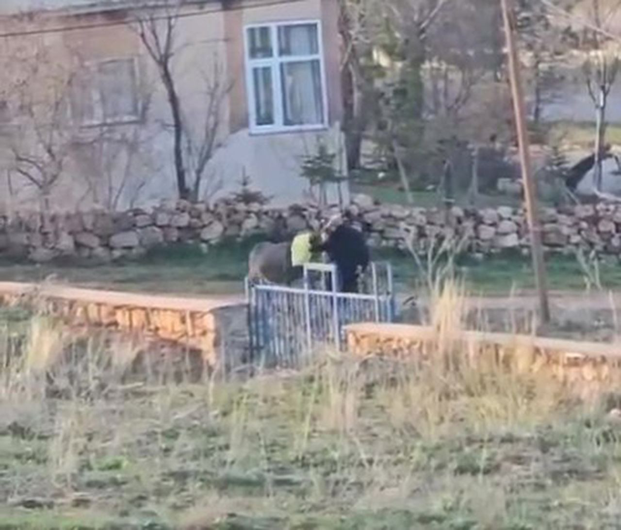 Türkiye'de hayvanseverler ayaklandı: İki ayaklı cani, 4 ayaklı canı sopayla döve döve öldürdü