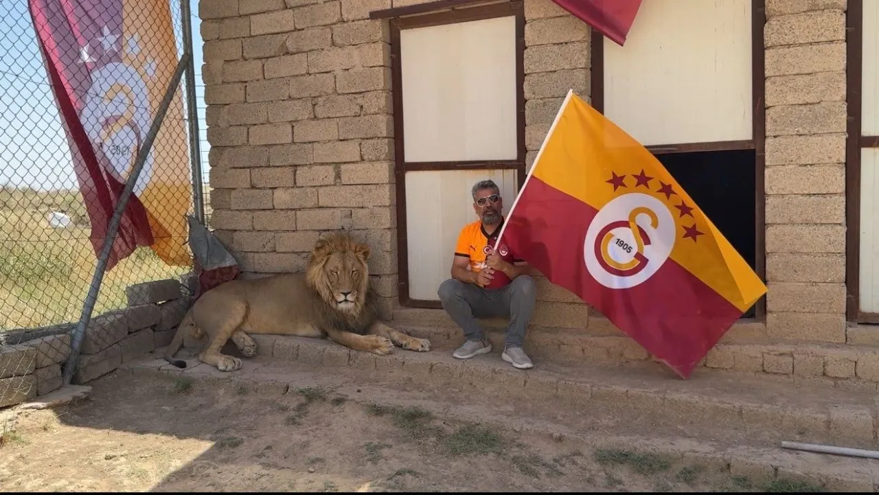 Galatasaraylı taraftar, şampiyonluğu gerçek aslanlarıyla kutladı