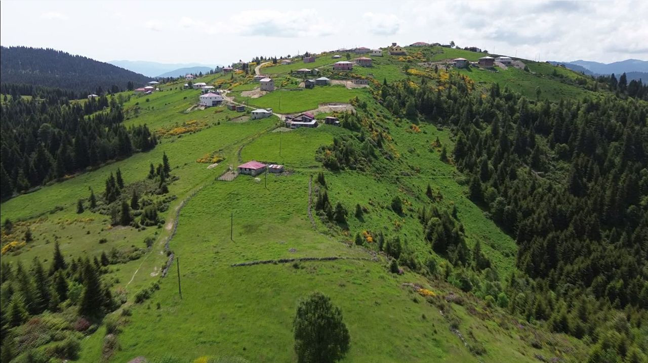 İzlediğiniz tüm belgeselleri unutun: Karadeniz'in büyüleyen göçü başladı