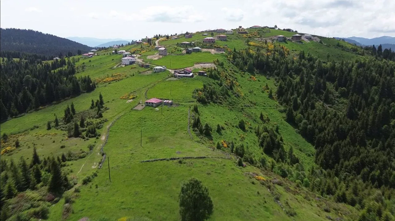 İzlediğiniz tüm belgeselleri unutun: Karadeniz'in büyüleyen göçü başladı