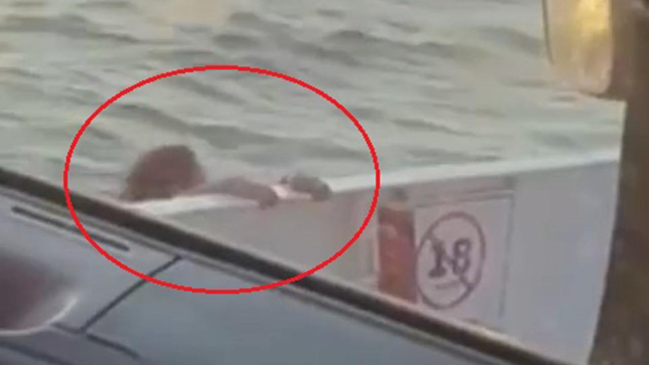 Feribottan atlayan kadın yolcu kamerada