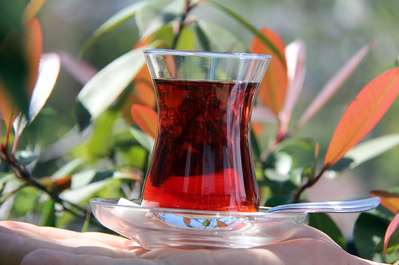 Tirebolu 42 çay markası logosu ve çay yaprakları