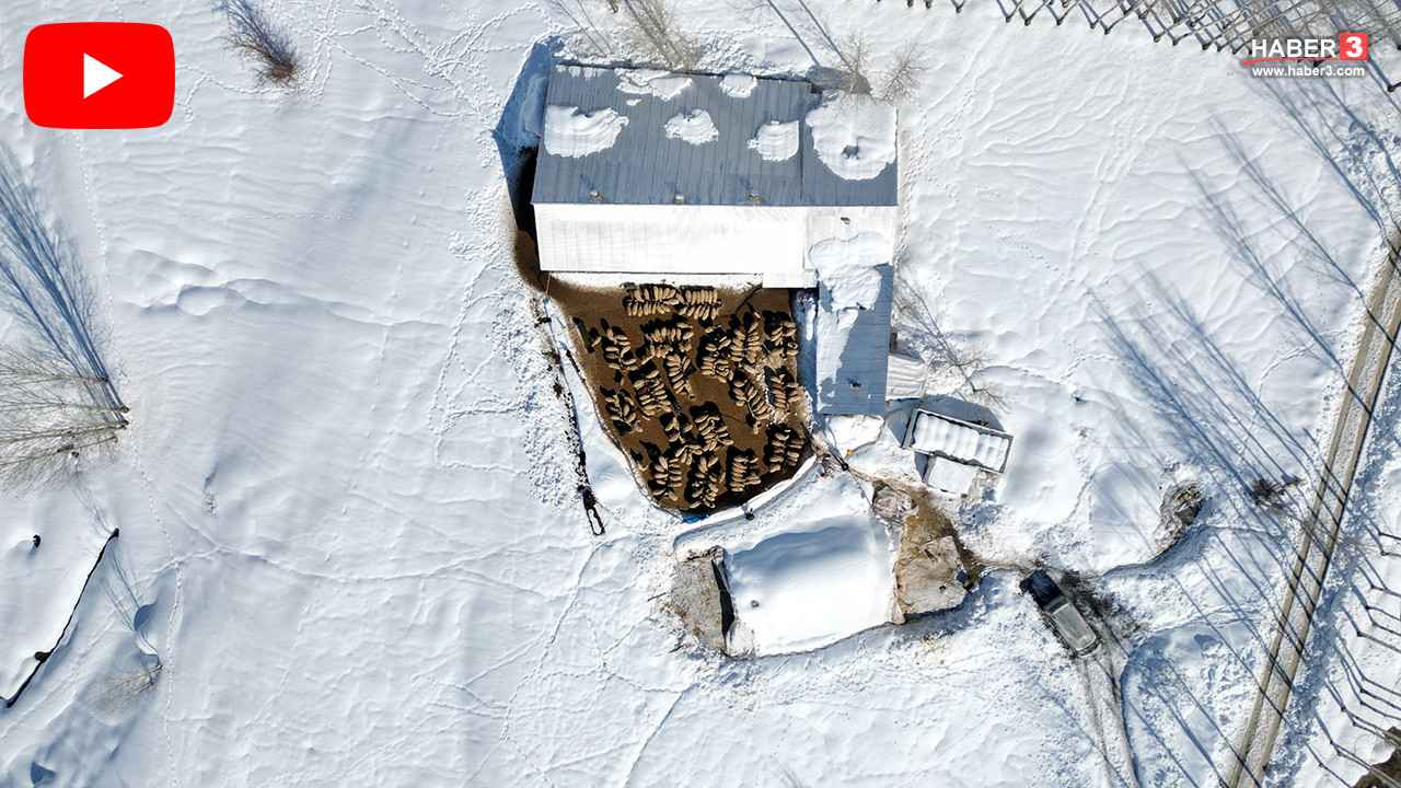 İstanbul'u terk edip köyüne döndü, kendi işinin patronu oldu