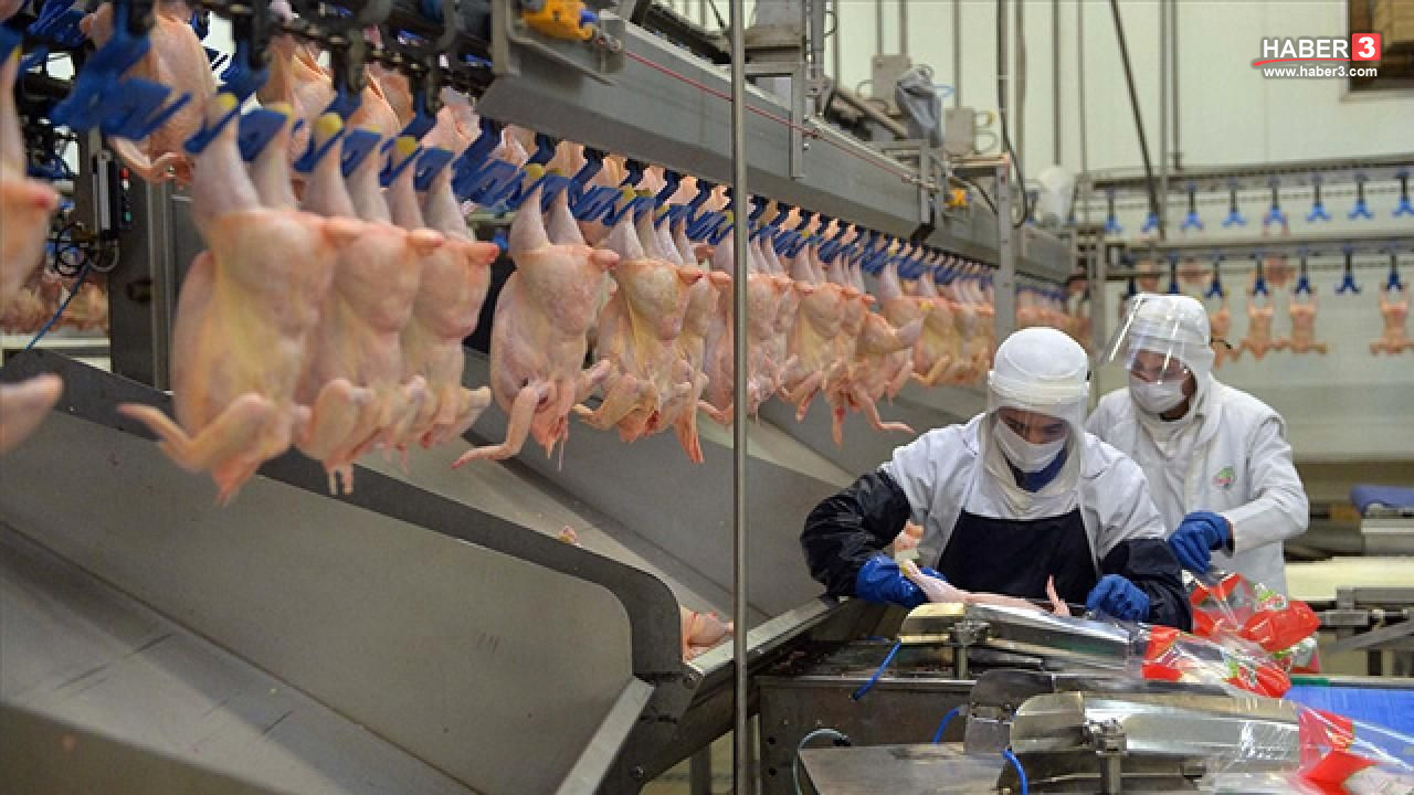 Beyaz et ürünlerinin sergilendiği bir market reyonu