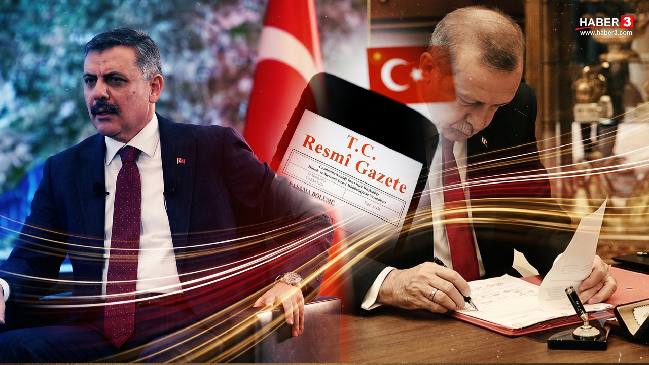430 mülki idare amirinin görev yerinin değiştiğini gösteren kararname detayı.