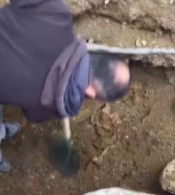 İstanbul'da kazı sırasında kemik parçaları bulundu
