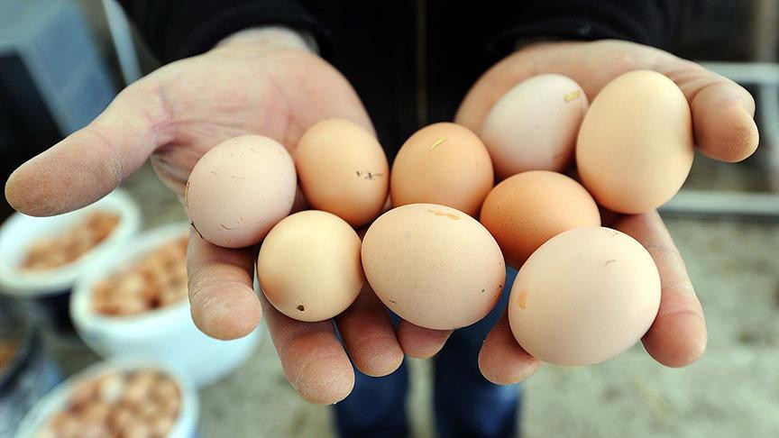 Ramazan öncesi yumurta ve tavukta garip durum