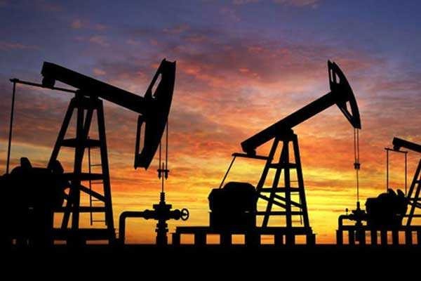 TPAO'dan petrol müjdesi ! 2 petrol sahası genişletiliyor