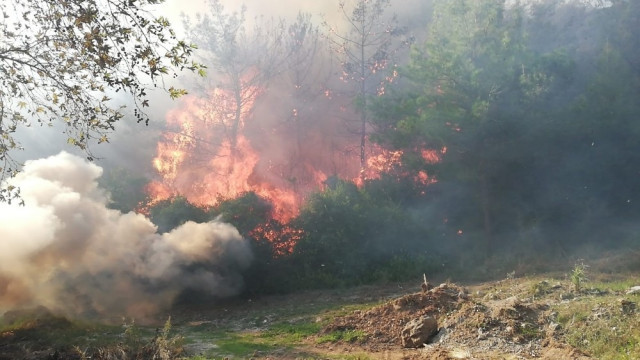 Osmaniye'de orman yangını ! Evler tahliye edildi