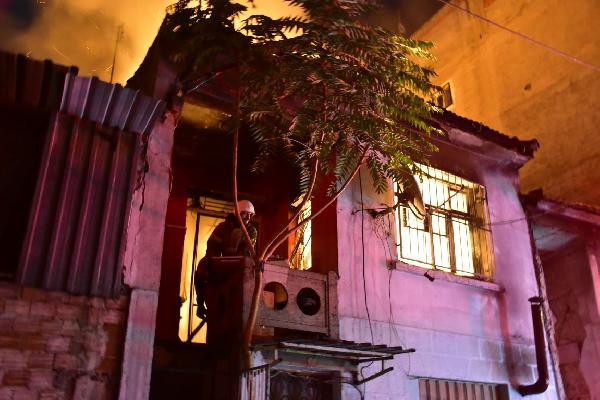 25 papağan yanarak telef oldu